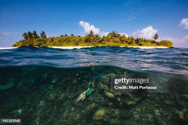 snorkeling and island - duck dive stock pictures, royalty-free photos & images