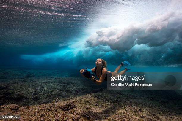 woman dives with underwater camera - underwater film camera stock-fotos und bilder