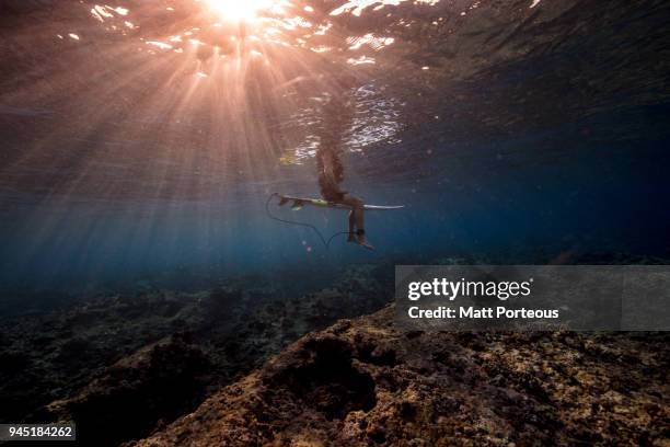 calmness before the wave - duck dive stock pictures, royalty-free photos & images