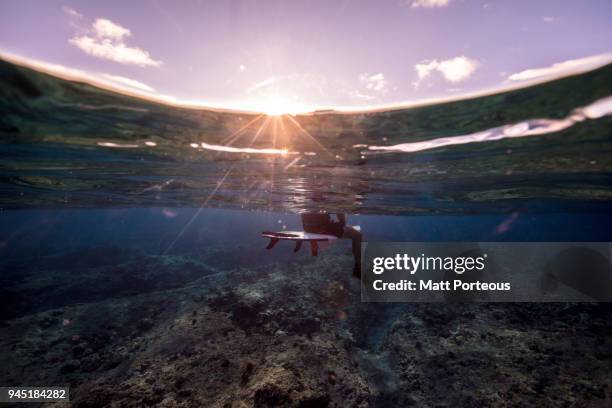 calmness before the wave - duck dive stock pictures, royalty-free photos & images