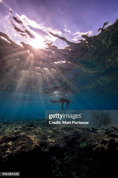 calmness before the wave - duck dive stock pictures, royalty-free photos & images