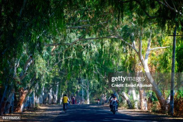 road from udaipur to jodhpur, rajasthan, india - ranakpur temple ストックフォトと画像