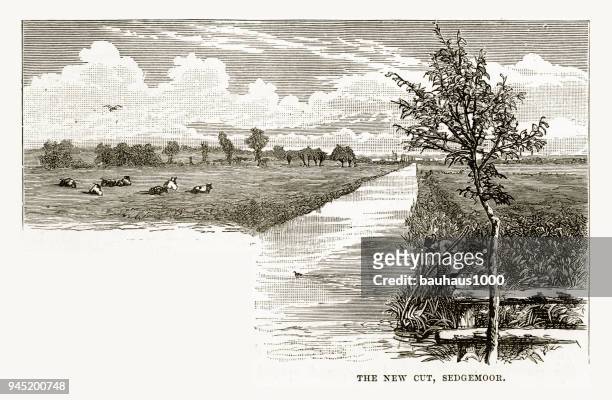 new cut, sedgemoor, somerset, england victorian engraving, 1840 - bridgewater stock illustrations