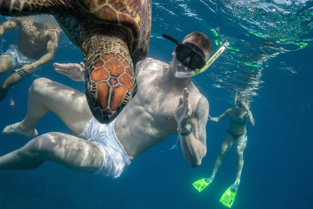 AUS: IN FOCUS: Athletes Discover The Great Barrier Reef Experience