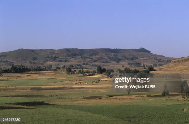Debr 172 Debr Stock Photos, High-Res Pictures, and Images - Getty Images