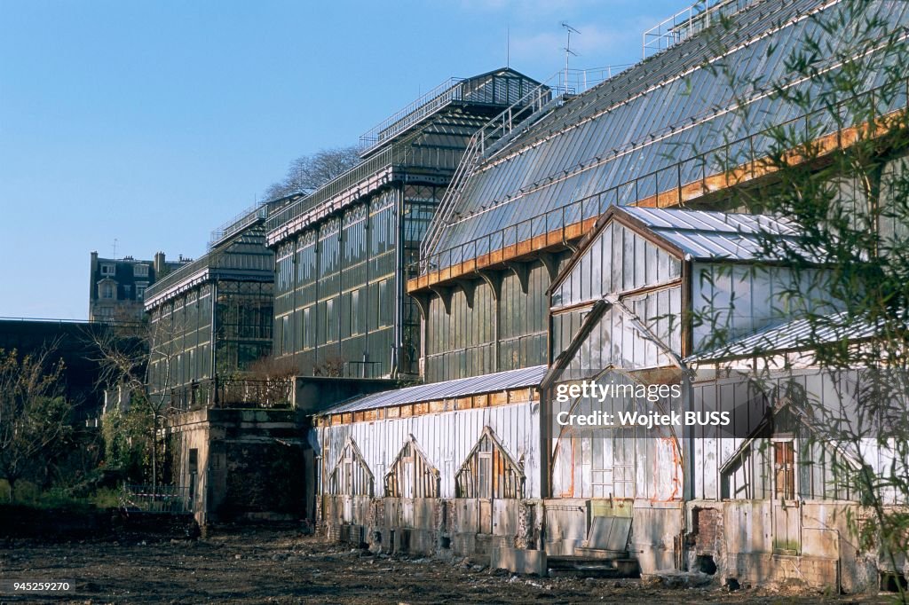 SERRES DU JARDIN DES PLANTES, PARIS, FRANCE