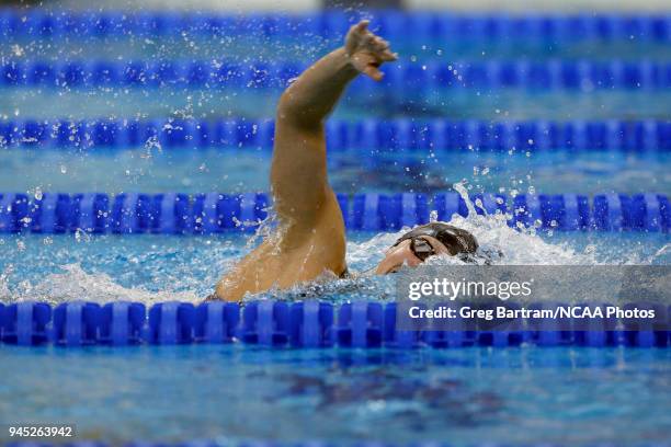 Katie Ledecky of Stanford approaches the wall as she competes in the 1650 yard freestyle during the Division I Women's Swimming & Diving Championship...