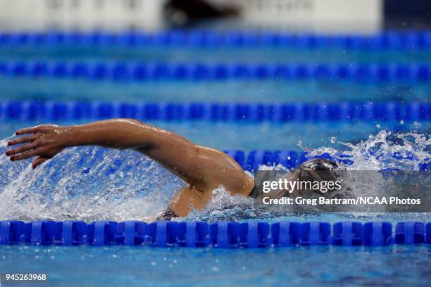 Katie Ledecky of Stanford competes in the 1650 yard freestyle during the Division I Women's Swimming & Diving Championship held at the McCorkle...
