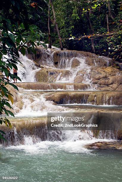 dunns river falls - jamaica - dunns river falls stock pictures, royalty-free photos & images