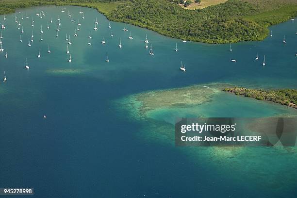 West indies martinique bay du marin aerial view landscape antilles martinique baie du marin paysage vue aerienne.