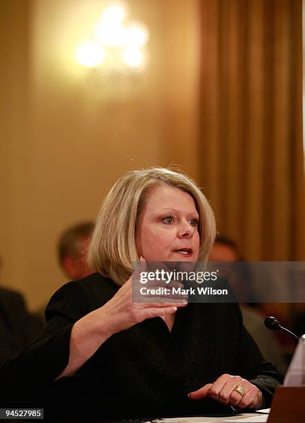 Acting Transportation Security Administration Administrator, Gale Rossides testifies during a House Homeland Security Committee hearing on Capitol...