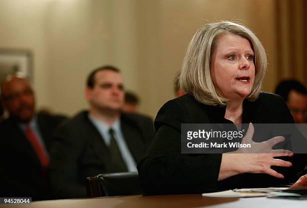 Acting Transportation Security Administration Administrator, Gale Rossides testifies during a House Homeland Security Committee hearing on Capitol...