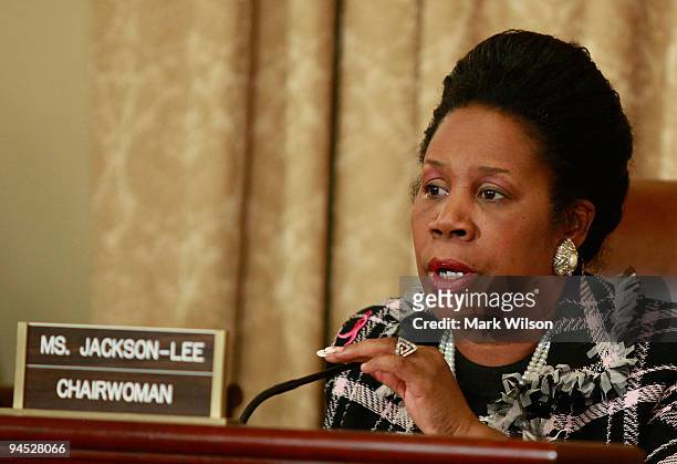 Chairwomen Sheila Jackson-Lee questions acting Transportation Security Administration Administrator, Gale Rossides during a House Homeland Security...