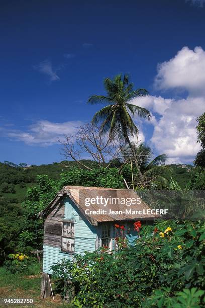 West indies martinique architecture carbet house creole hut landscape antilles martinique architecture carbet maison case creole paysage.