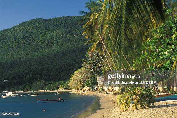 West indies martinique beach anses d arlet sea boat landscape cocotrees antilles martinique plage anses d arlet mer bateau paysage cocotiers.