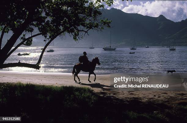 PROMENADE SUR L'ILE DE NUKU HIVA, MARQUISES.