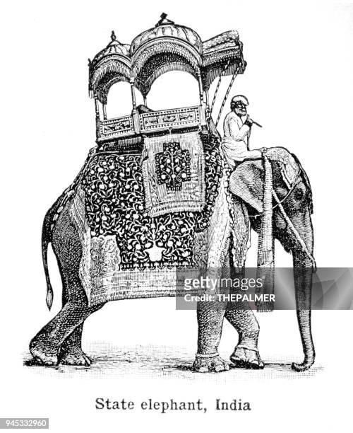 stockillustraties, clipart, cartoons en iconen met indische olifant gravure 1892 - indische olifant
