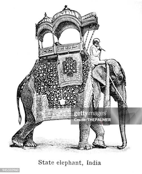 indian elephant engraving 1892 - indian elephant illustration stock illustrations