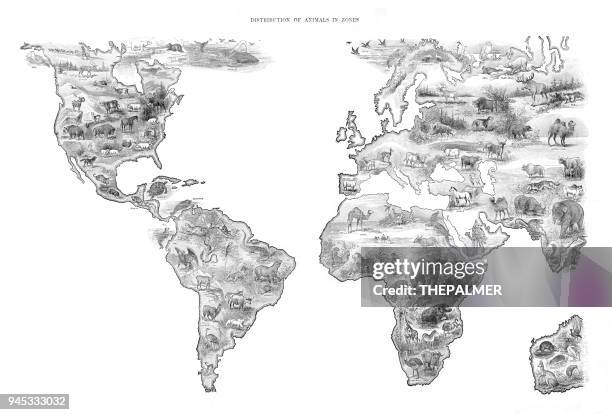 ilustrações de stock, clip art, desenhos animados e ícones de map distribution of animal in the world 1892 - mapa múndi