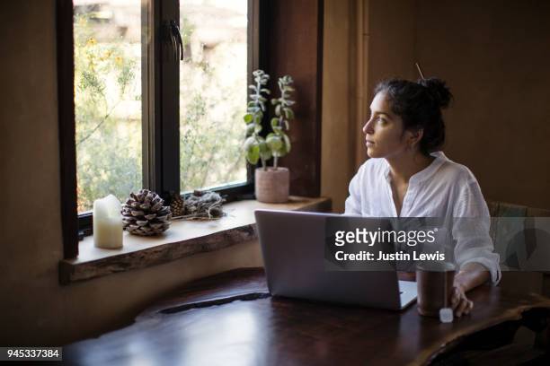 mixed-race young adult woman works at home using laptop computer - beautiful asian student stockfoto's en -beelden