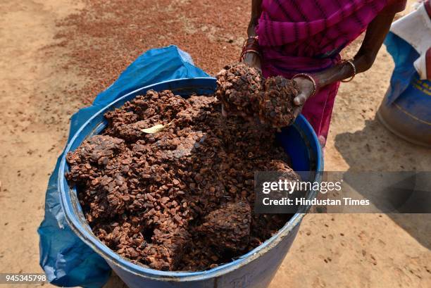 The main ingredients used for making wine as seen are Chhowa Gud and dried Mahua flowers, in Dantewada district of Chhattisgarh, on April 11, 2018 in...