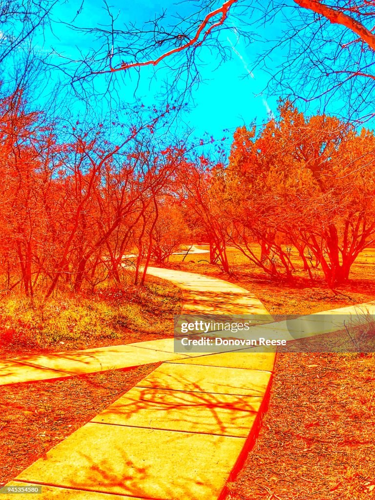 Different Paths Change Of Directions High-Res Stock Photo - Getty Images