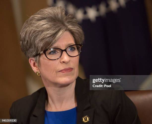 Sen. Joni Ernst participates in a meeting on trade with held by U.S. President Donald Trump with governors and members of Congress at the White House...