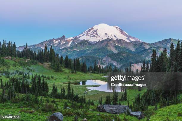 mount rainier national park - mount rainier nationalpark stock-fotos und bilder