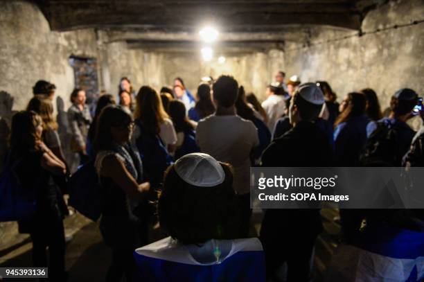 Participants visit a gas chamber at the former Nazi German Auschwitz-Birkenau death camp during the 'March of the Living' at Oswiecim. The annual...