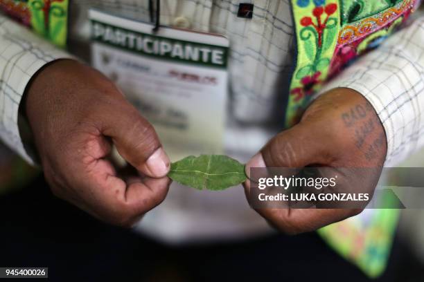 Felix Lira Condori leader of the Bolivian National Council of Ayllus and Markas of the Qullasuyu , holds a coca leaf during the People's Summit, a...