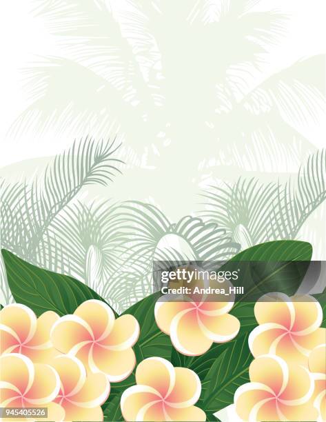 tropical design template with copy space for text - nature flower / leaf seamless pattern in background - coconut pattern stock illustrations