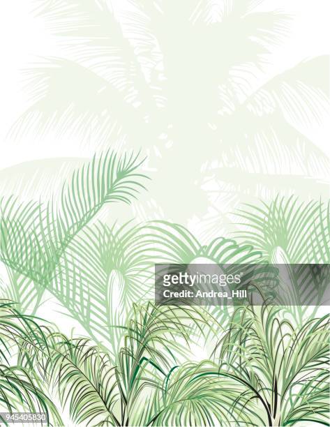 tropischen design-vorlage mit textfreiraum für text - natur blume / blatt nahtloses muster im hintergrund - coconut leaf stock-grafiken, -clipart, -cartoons und -symbole