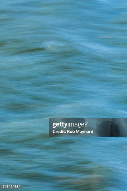 river waves - freshwater fish stock pictures, royalty-free photos & images