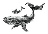 Big whale and little whale hand drawing vintage engraving illustration