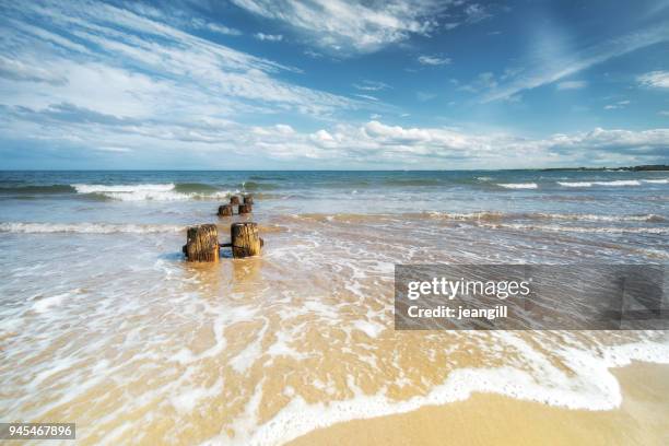 épi sur la plage de alnmouth, northumberland, royaume-uni - northumberland photos et images de collection