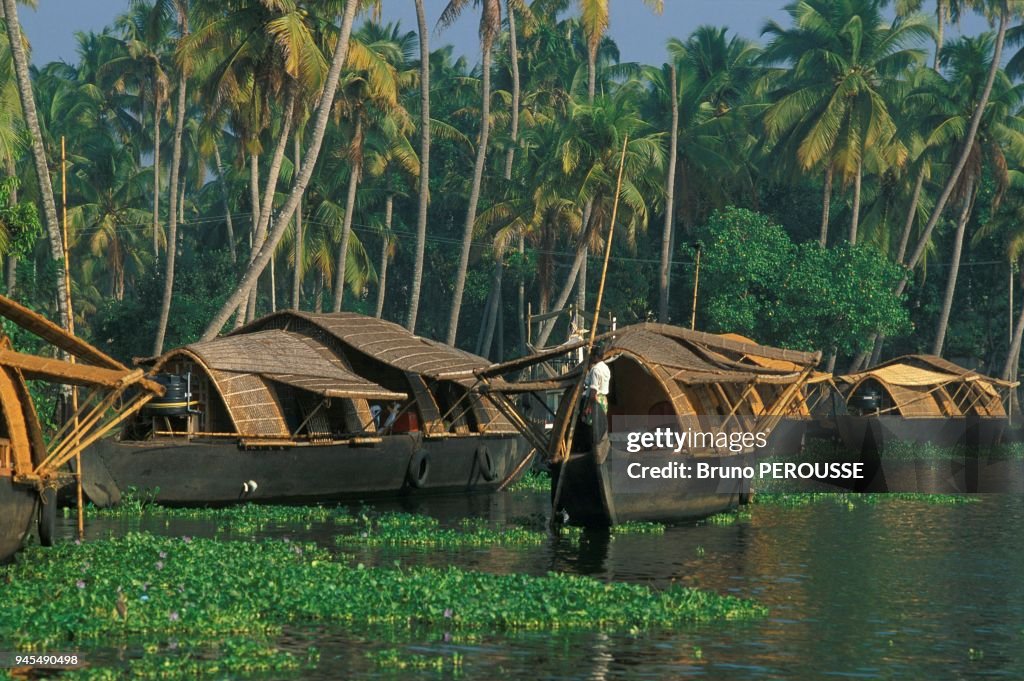 ALLEPPEY BACKWATERS, COCHIN, INDE