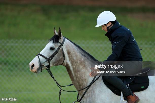 Irish horse Success Days during trackwork ahead of competing against Winx in the Queen Elizabeth Stakes on day 2 of The Championships, at Canterbury...