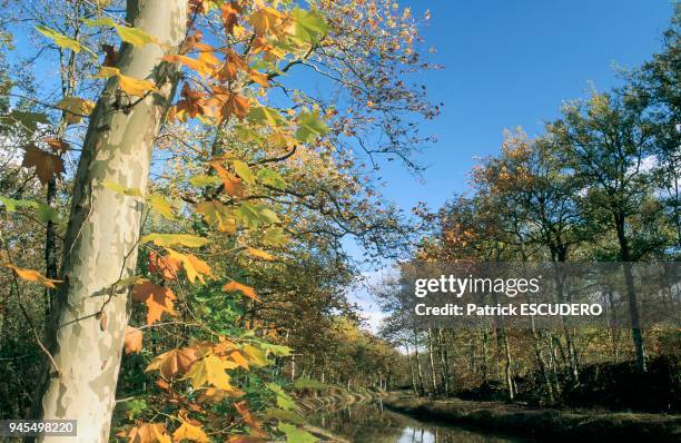 The unfinished Napoleon III canal was meant to cross the Sologne region. Le canal Napol?on III inachev? devait traverser la Sologne.