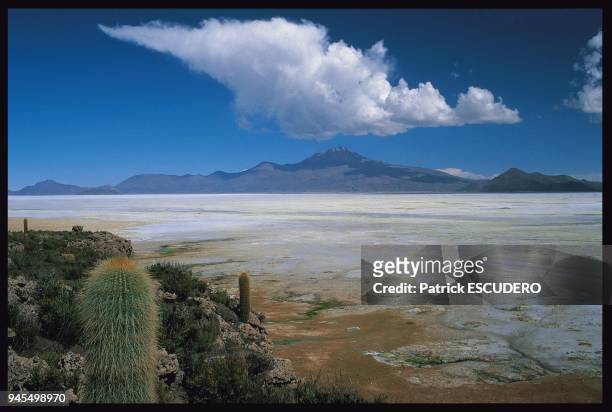 M?tres d'altitude, le "Salar de Uyuni" est le plus grand d?sert de sel du monde. En arri?re plan, le volcan Tunupa, surmont? d'un nuage en forme...