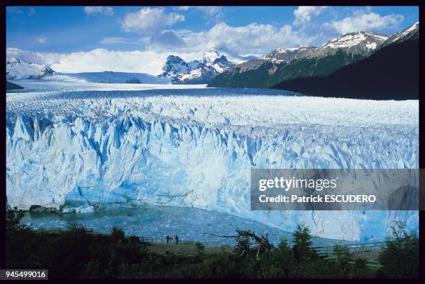 Le Perito Moreno est le joyau du parc national des glaciers pr?s du village d'El Calafate en Patagonie argentine. Son large front de pr?s de cinq...