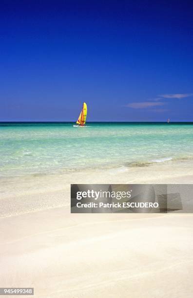 Le cayo Santa Maria qui fait partie de l'archipel Sabana Camaguey offre de superbes plages de sable blanc baign?es par des eaux cristallines comme...