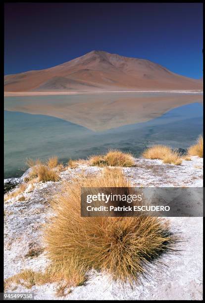 LA LAGUNA SALADA DANS LE SUD LIPEZ, BOLIVIE.