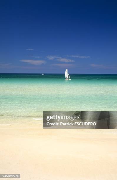 Sable blanc mer turquoise hobbie cat ? cayo Coco.