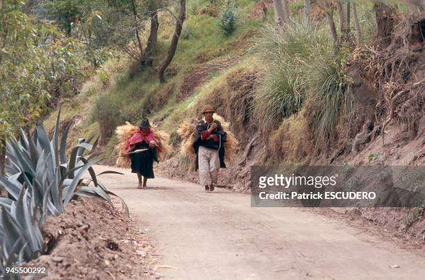 Les Salasacas, ethnie du centre de l'Equateur, sont les descendants d'un groupe originaire du lac Titicaca d?plac? par les Incas. Ils sont...