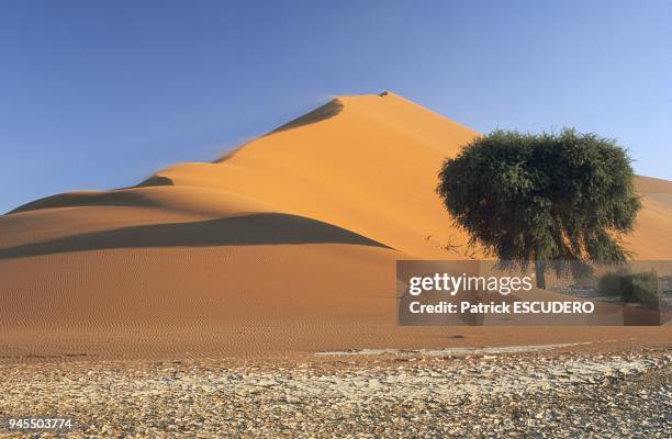 Dune de sable dont la cr?te est souffl?e par le vent dans le d?sert du Namib ? Sossusvlei.