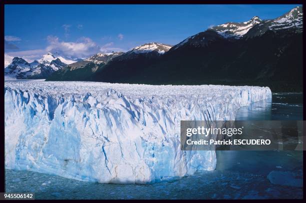 Le Perito Moreno est le joyau du parc national des glaciers pr?s du village d'El Calafate en Patagonie argentine. Son large front de pr?s de cinq...