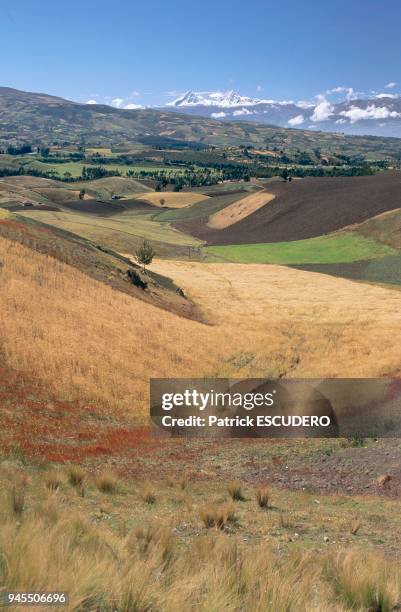 Sur les pentes des sommets de la vall?e des volcans le paysage est compos? par une mosa?que de champs cultiv?s. Bl?, pommes de terre, f?ves, orge...