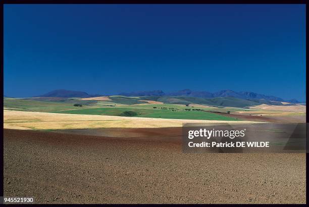 LA CHAINE DE MONTAGNE GROOT-SWARTBERGE, AFRIQUE DU SUD.