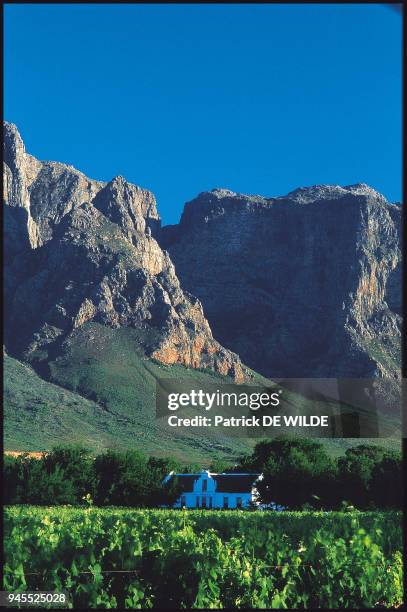 Livre "Ph?nom?nale Afrique du Sud" p.30 Situ? ? l'entr?e de Franschhoek Valley, au pied du massif Groot Drakenstein, Boschendal est l'un des...