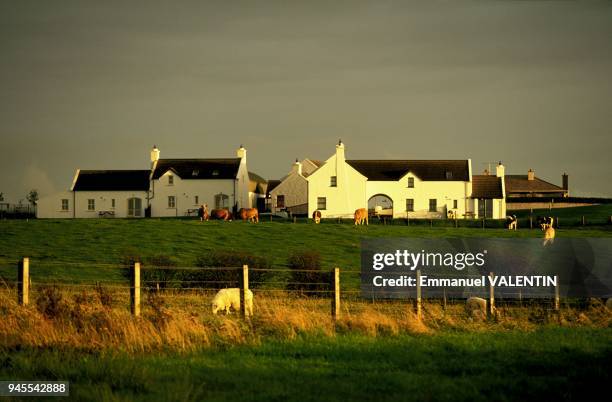 BUSHMILLS ET SES ENVIRONS, IRLANDE DU NORD.